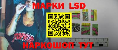 spice Камышлов